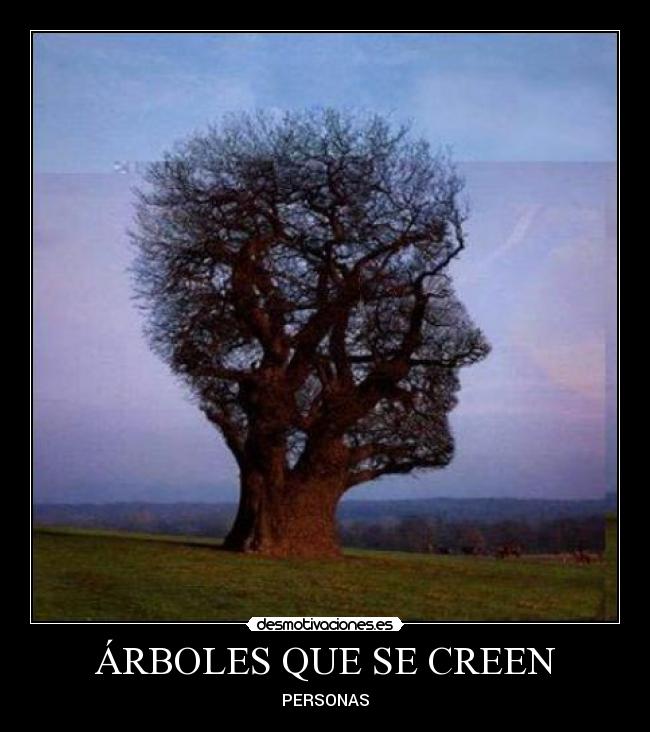 ÁRBOLES QUE SE CREEN -