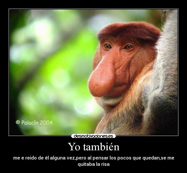 Yo también -