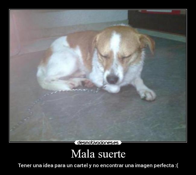Mala suerte - Tener una idea para un cartel y no encontrar una imagen perfecta :(