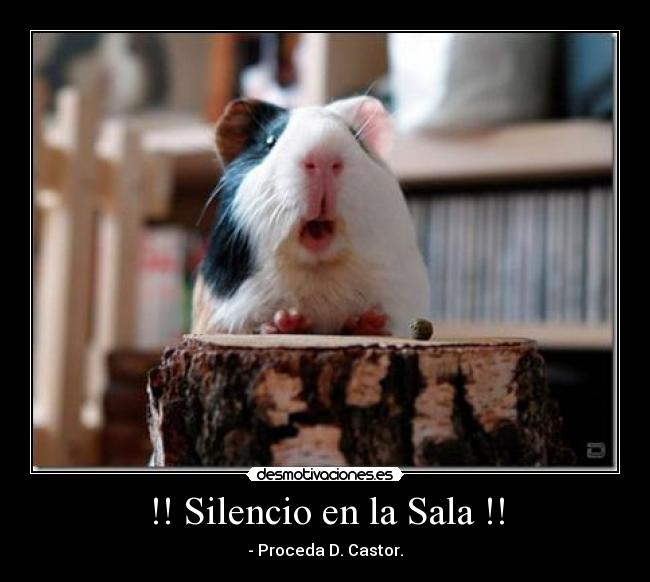 !! Silencio en la Sala !! - 