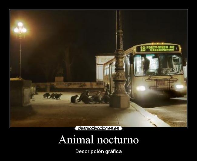 carteles nocturno desmotivaciones