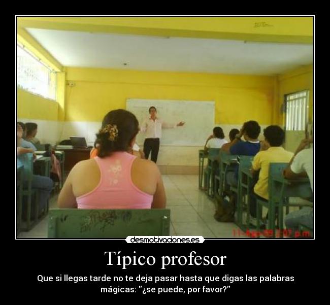 Típico profesor - 