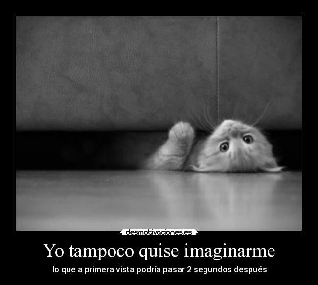 Yo tampoco quise imaginarme - lo que a primera vista podría pasar 2 segundos después