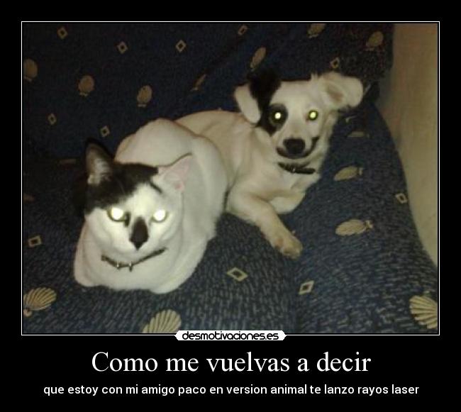 Como me vuelvas a decir -