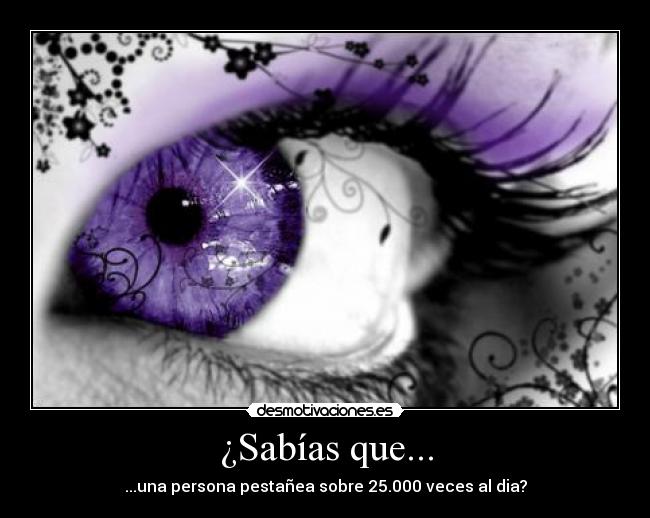 ¿Sabías que... - ...una persona pestañea sobre 25.000 veces al dia?