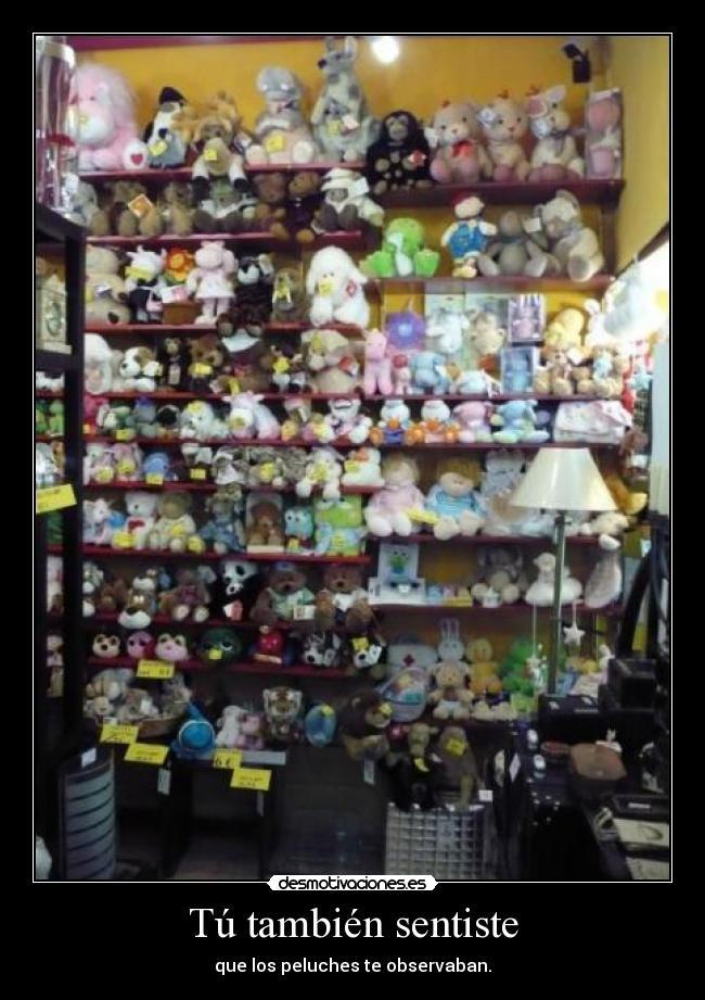 Tú también sentiste - 