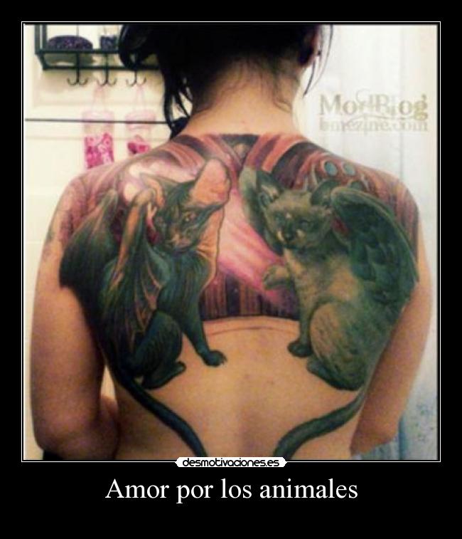 Amor por los animales -