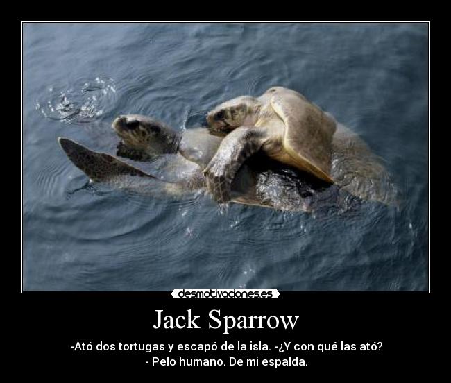 Jack Sparrow - -Ató dos tortugas y escapó de la isla. -¿Y con qué las ató?
- Pelo humano. De mi espalda.