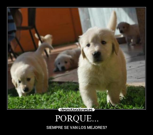 PORQUE... - SIEMPRE SE VAN LOS MEJORES?