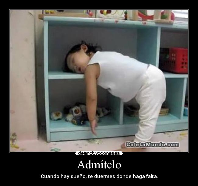 Admítelo - Cuando hay sueño, te duermes donde haga falta.