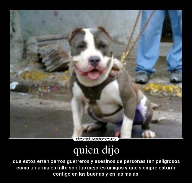 quien dijo -