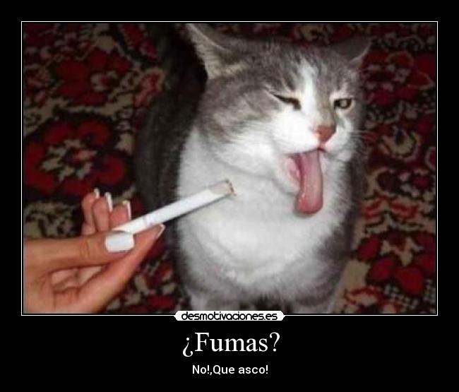 ¿Fumas? -