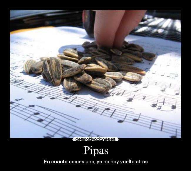 Pipas -