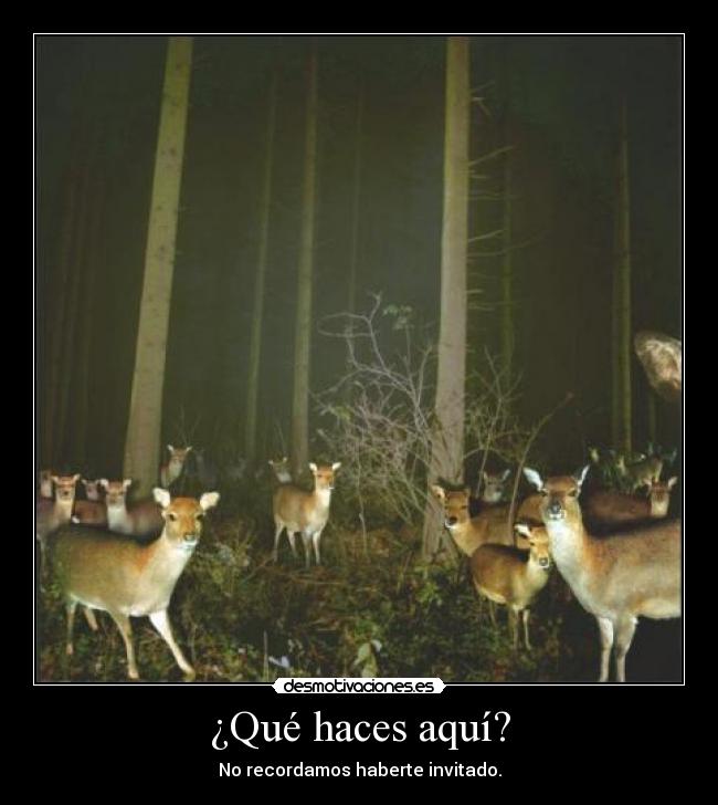 ¿Qué haces aquí? -