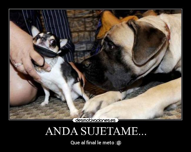 ANDA SUJETAME... -