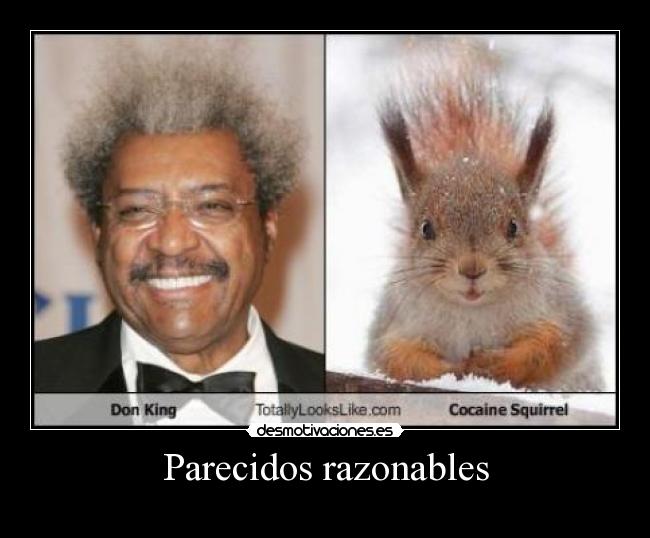 Parecidos razonables -