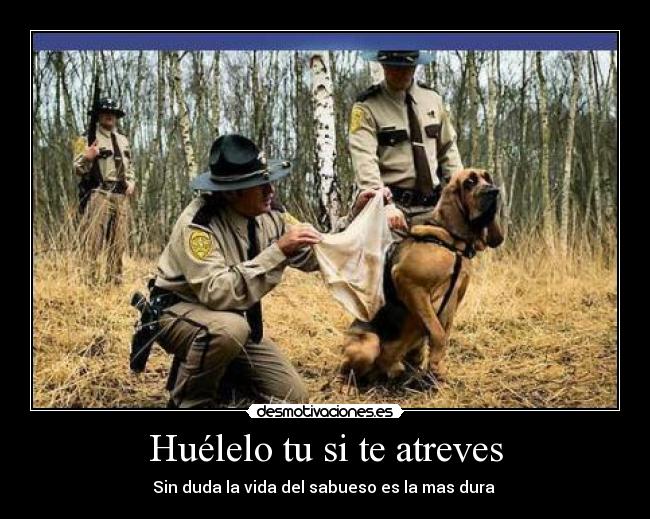 Huélelo tu si te atreves - 