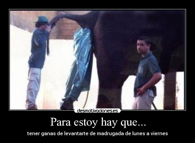 Para estoy hay que... - 