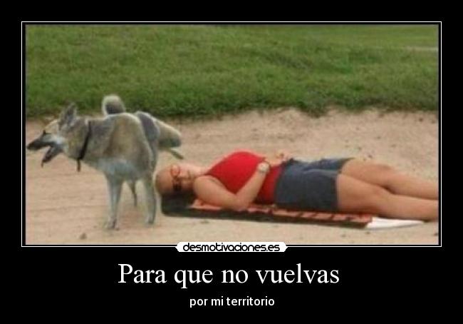 carteles perros mear desmotivaciones