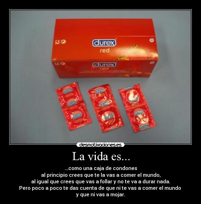 La vida es... - ...como una caja de condones
al principio crees que te la vas a comer el mundo,
al igual que crees que vas a follar y no te va a durar nada.
Pero poco a poco te das cuenta de que ni te vas a comer el mundo 
y que ni vas a mojar.