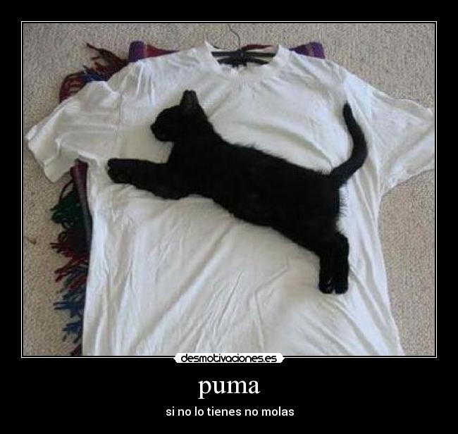puma - 