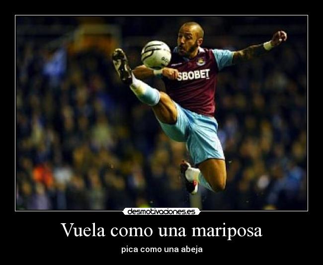 Vuela como una mariposa - pica como una abeja