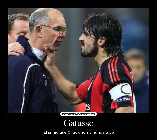 Gatusso -