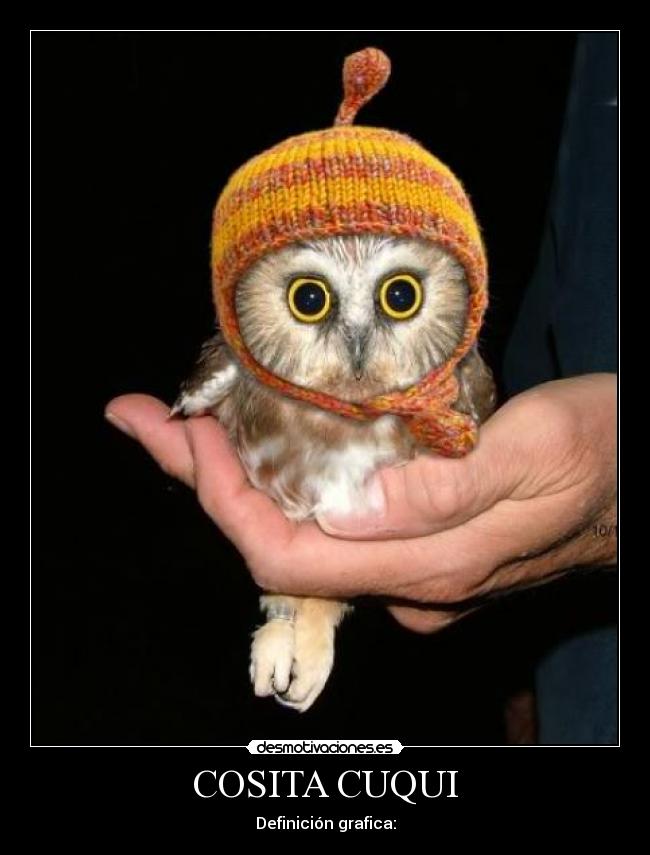 COSITA CUQUI -