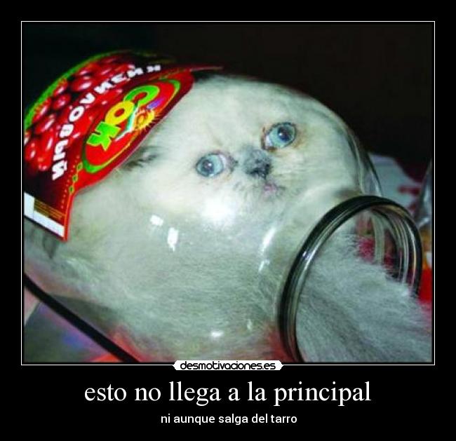  esto no llega a la principal  - 