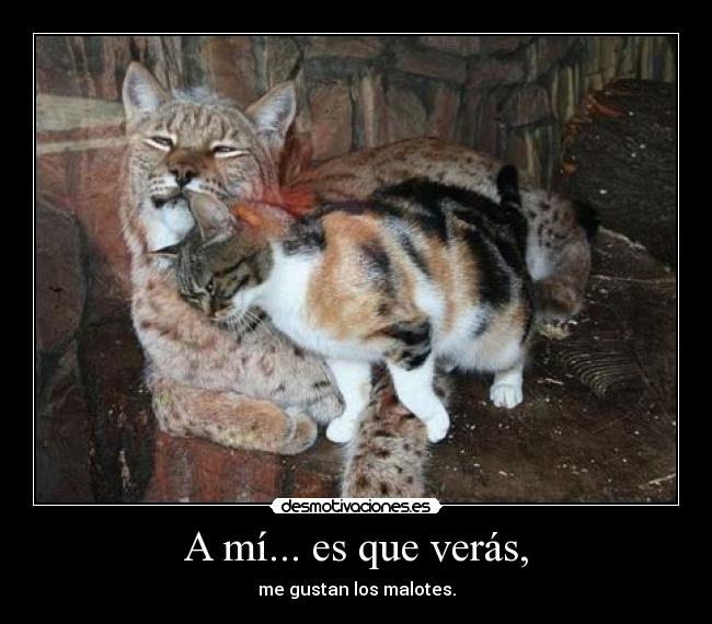 A mí... es que verás, - me gustan los malotes.