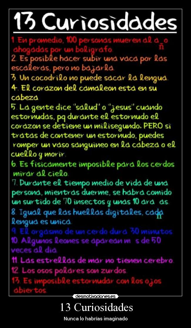 13 Curiosidades -