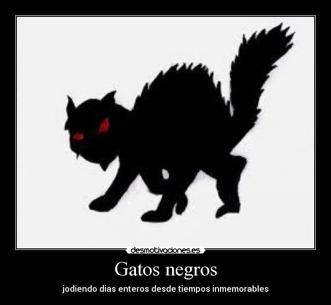carteles gatos fuuuuuuuuuuuuuuu desmotivaciones