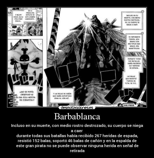 Barbablanca - 