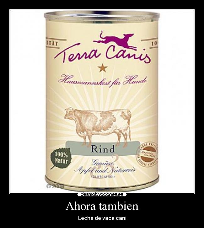 Ahora tambien - Leche de vaca cani