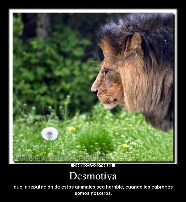 Desmotiva -