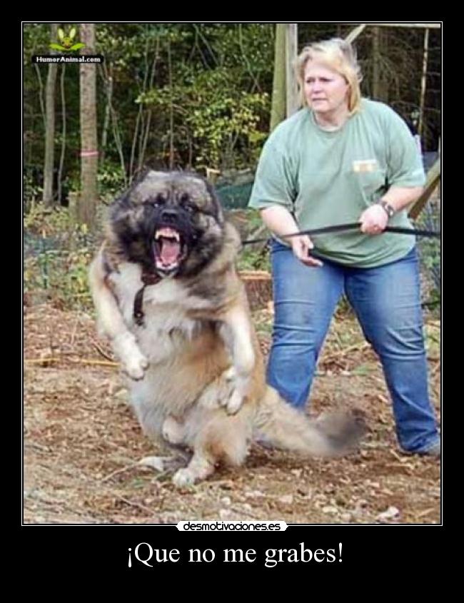 ¡Que no me grabes! -