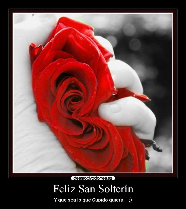 Feliz San Solterín - 