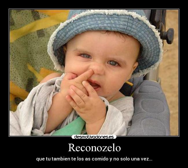 Reconozelo -