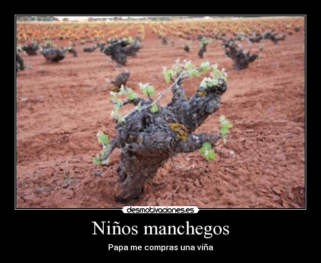 Niños manchegos - 