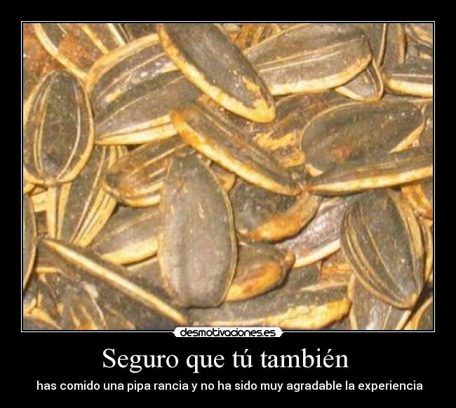 Seguro que tú también - has comido una pipa rancia y no ha sido muy agradable la experiencia