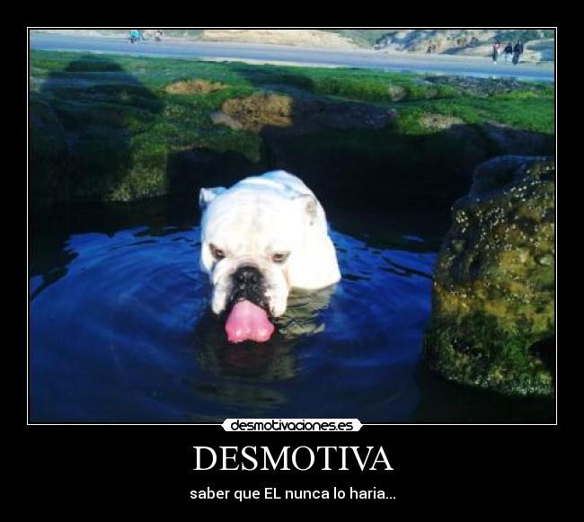 DESMOTIVA -