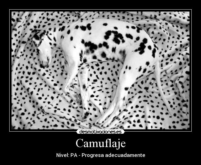 Camuflaje -