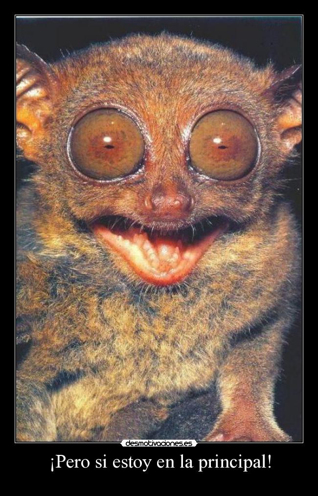 ¡Pero si estoy en la principal! -