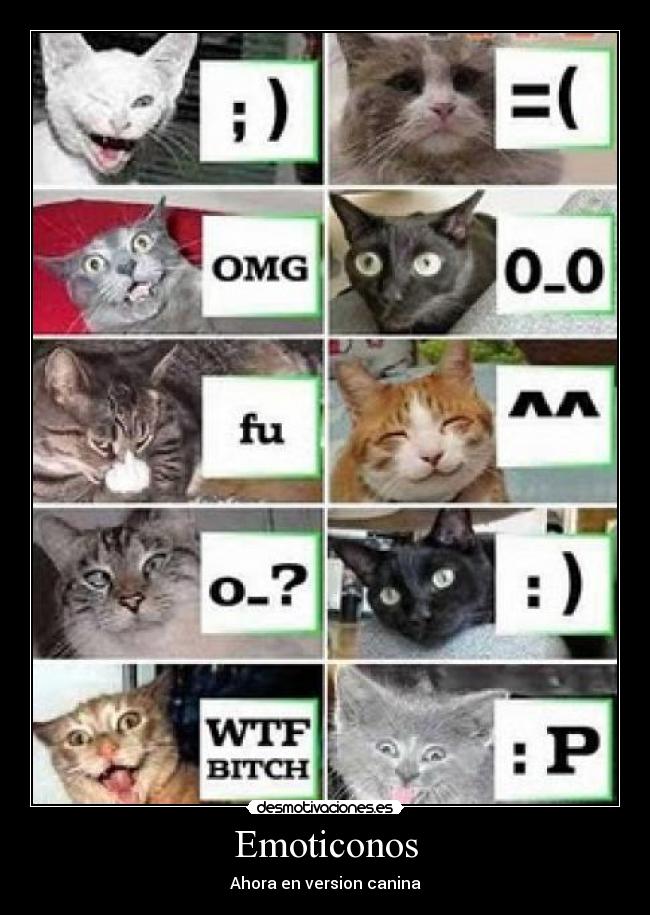 Emoticonos - Ahora en version canina