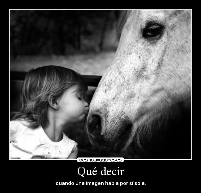 Qué decir - cuando una imagen habla por sí sola.