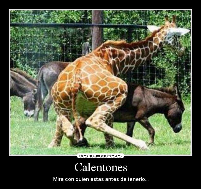 Calentones - Mira con quien estas antes de tenerlo...