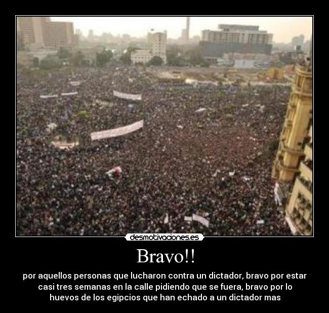 Bravo!! - por aquellos personas que lucharon contra un dictador, bravo por estar
casi tres semanas en la calle pidiendo que se fuera, bravo por lo
huevos de los egipcios que han echado a un dictador mas