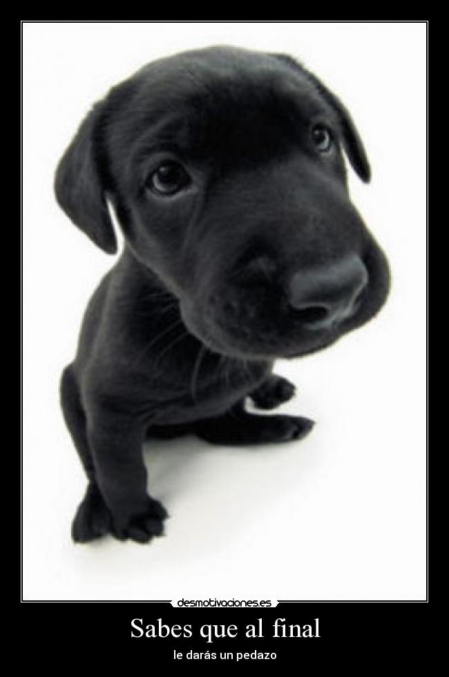 Sabes que al final -