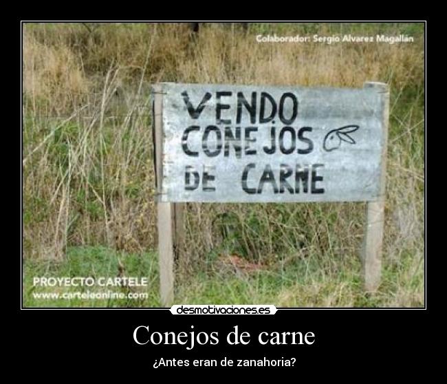Conejos de carne - ¿Antes eran de zanahoria?
