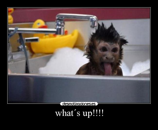 what´s up!!!! -
